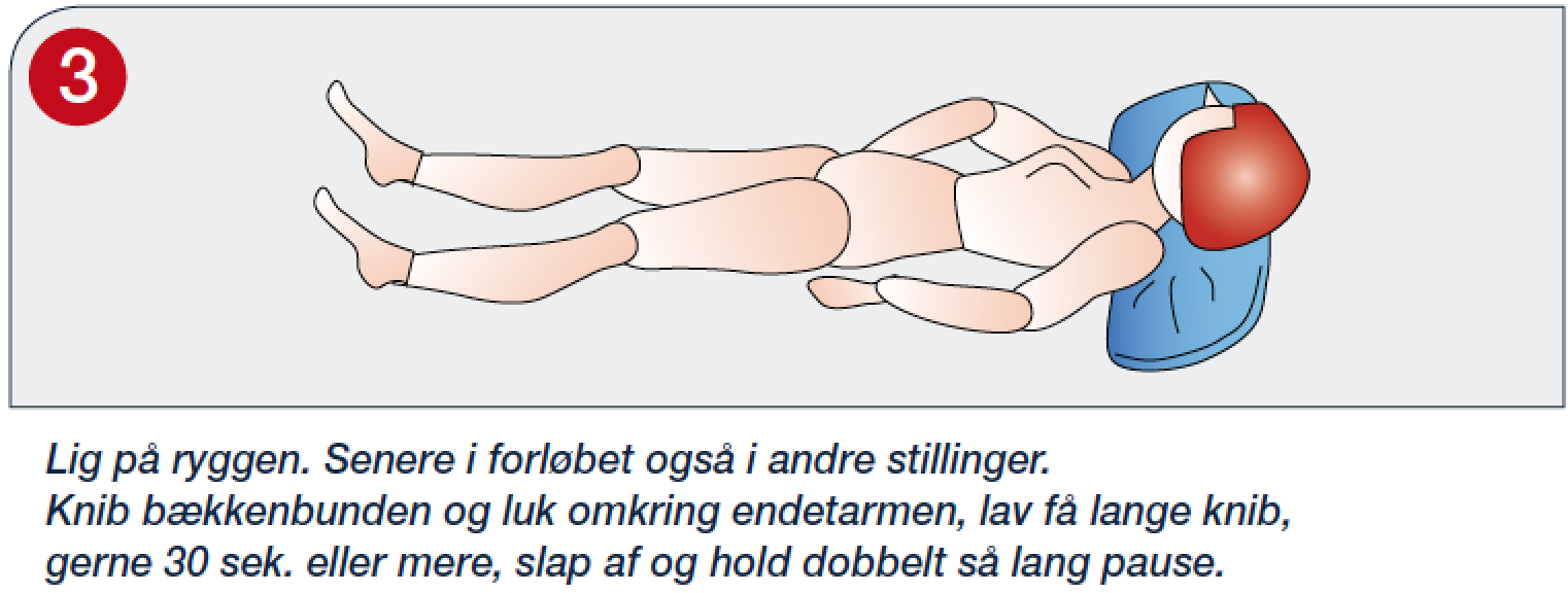 betyder store hænder stor penis