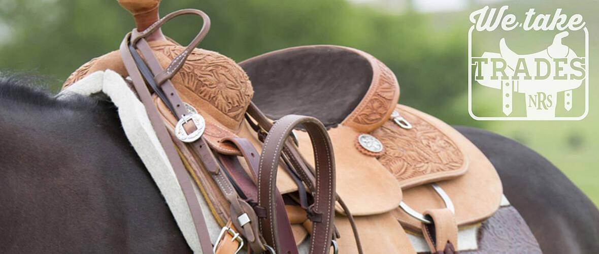Side view of saddle
